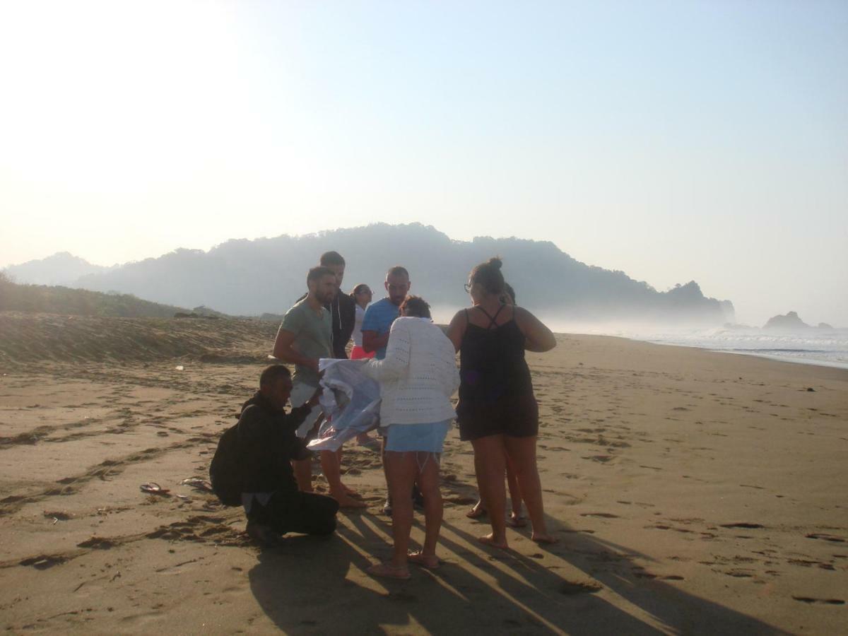 Thalia Guesthouse Ijen - Bromo & Sukamade Tour Banyuwangi  Esterno foto
