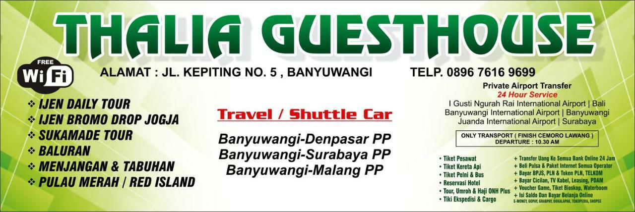 Thalia Guesthouse Ijen - Bromo & Sukamade Tour Banyuwangi  Esterno foto